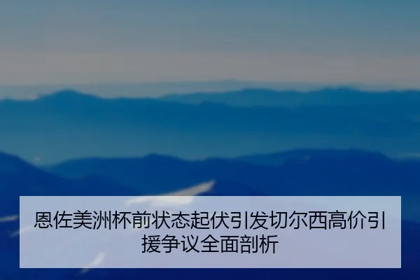 恩佐美洲杯前状态起伏引发切尔西高价引援争议全面剖析